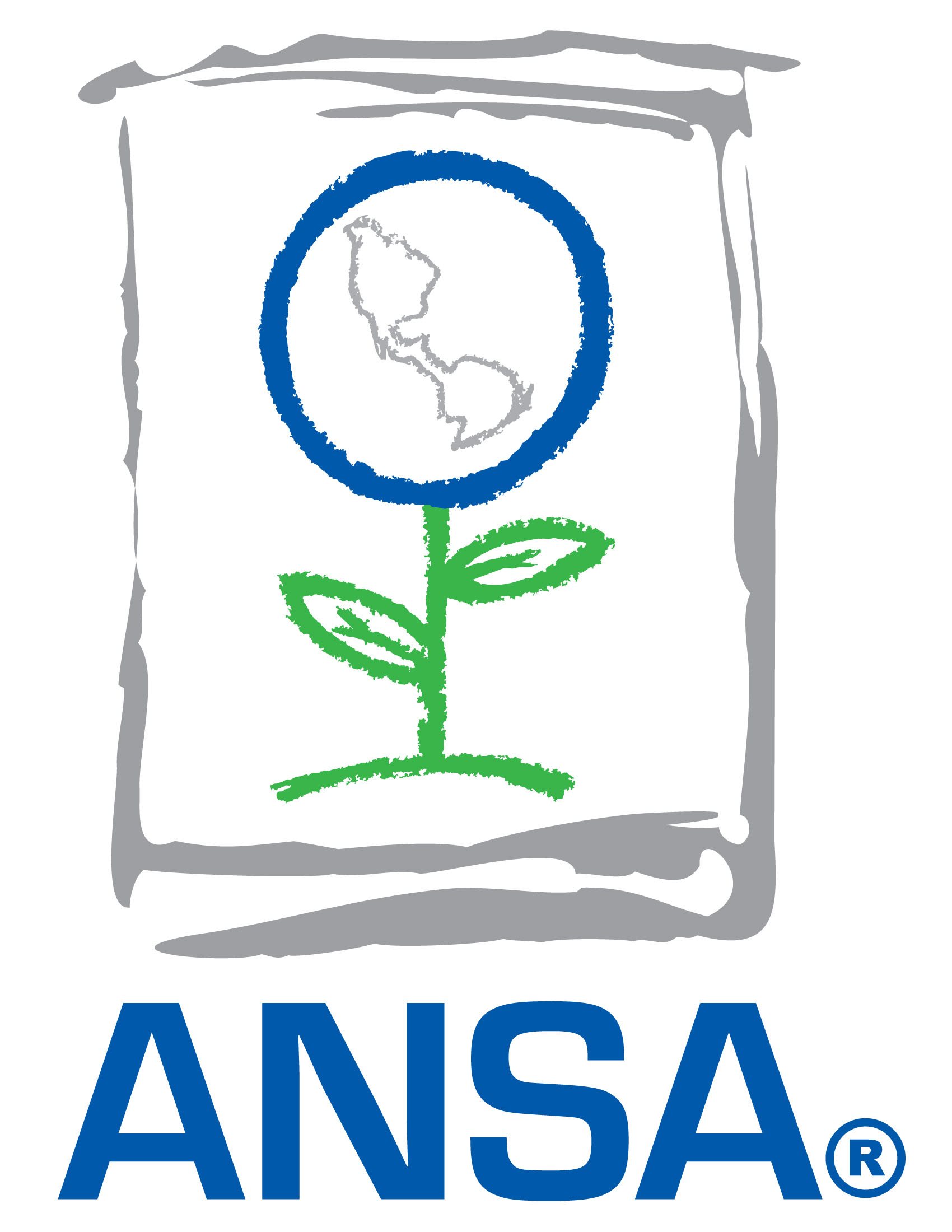 ansa